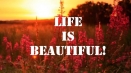 Život je lijep