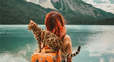 Instagram mačke koja putuje više od vas